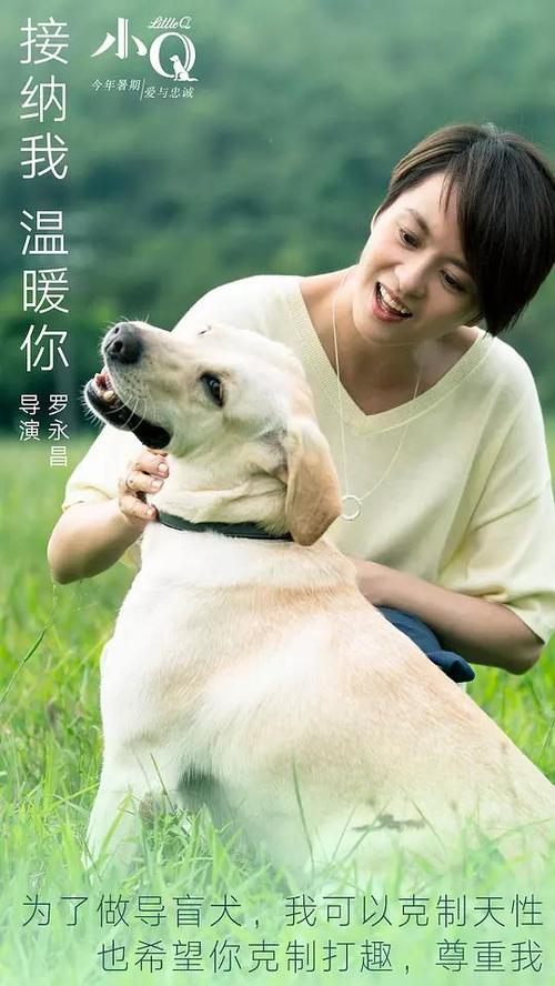 哪里能办青年会专业书院毕业证
